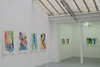 exposition Fines Fleurs, galerie Jean Brolly, novembre à décembre 2014